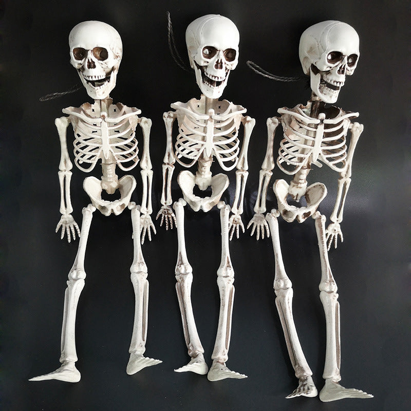 Halloween skeleton skeleton