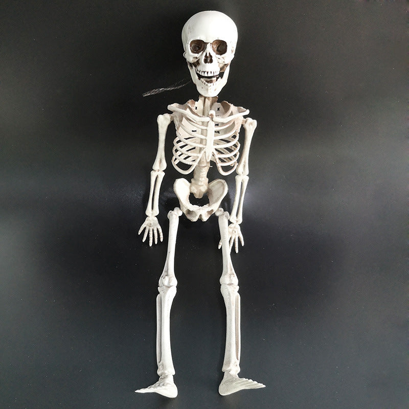 Squelette d'Halloween